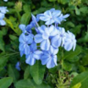 Meet your Posher, Florin